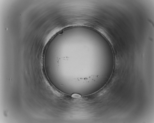 X0000102031093200807251346