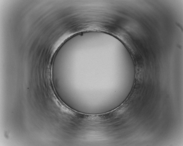 X0000102031094200807251346