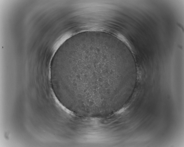 X0000102031095200807251346