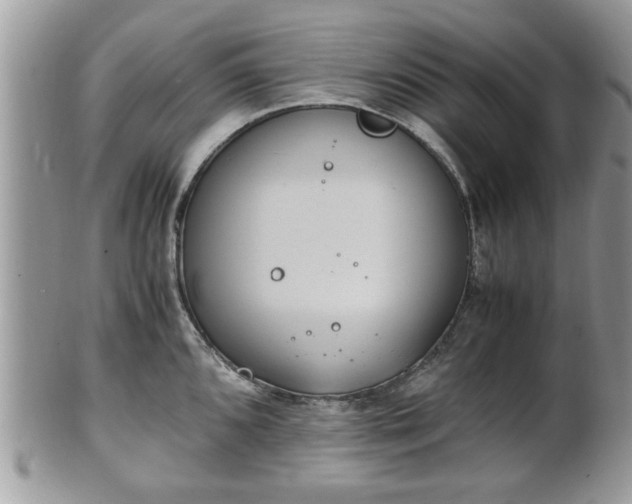 X0000102031096200807251346