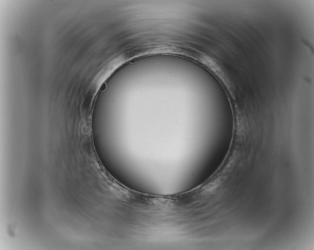 X0000102031097200807251346