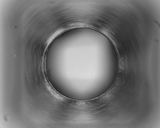 X0000102031098200807251346