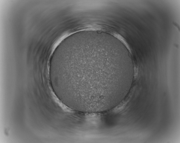 X0000102031099200807251346