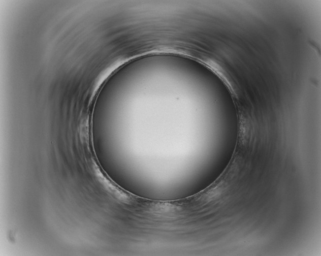 X0000102031100200807251346