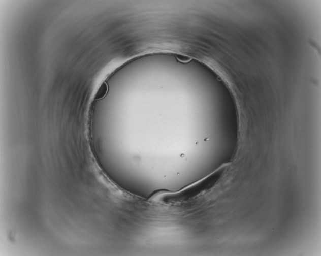 X0000102031104200807251346