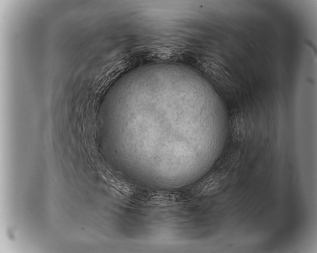 X0000102031105200807251345