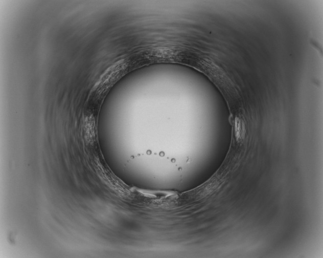 X0000102031107200807251345