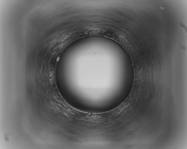 X0000102031109200807251345