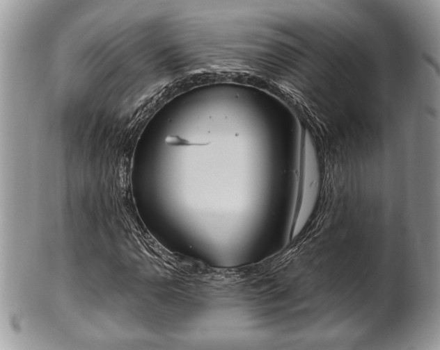 X0000102031110200807251345