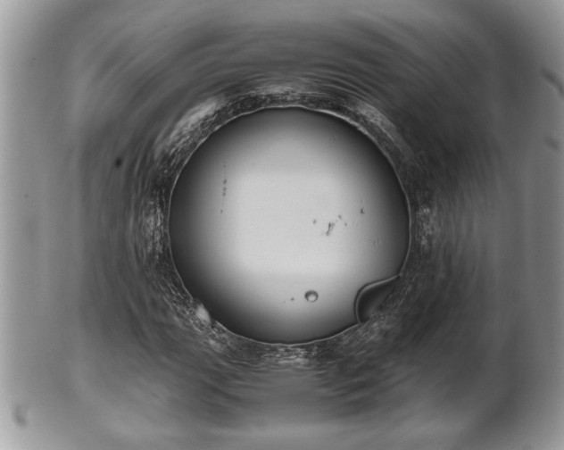 X0000102031111200807251345