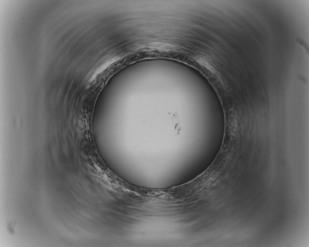 X0000102031112200807251345