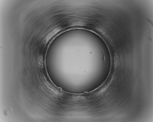 X0000102031113200807251345