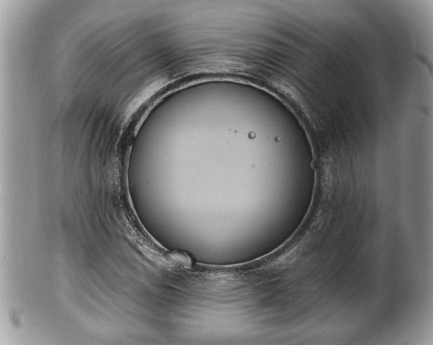 X0000102031114200807251345