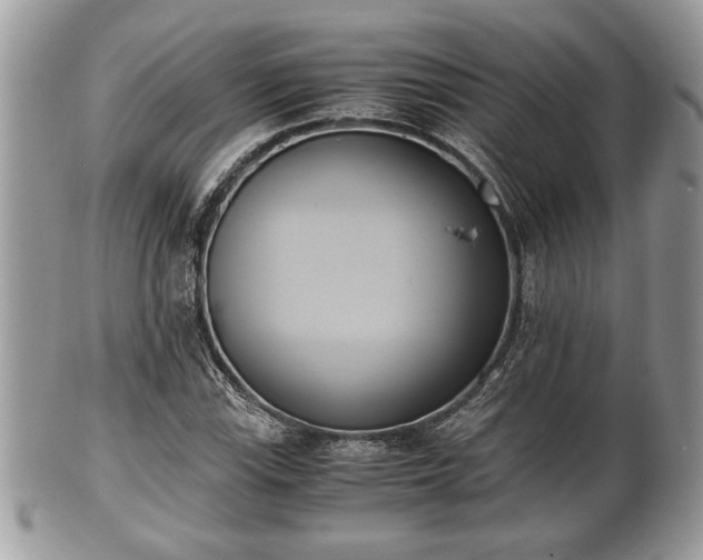 X0000102031115200807251345