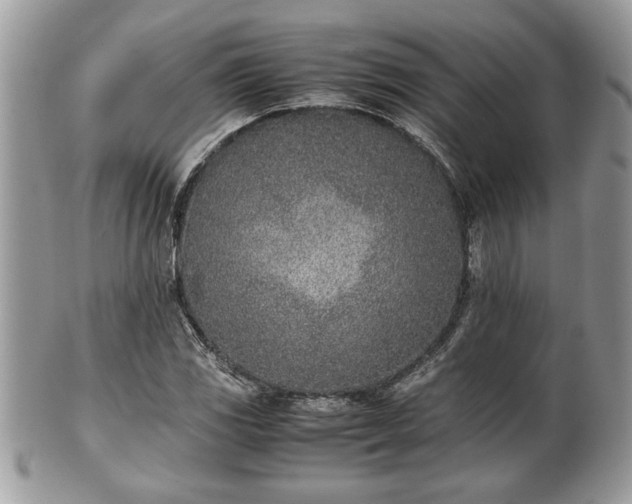 X0000102031117200807251345