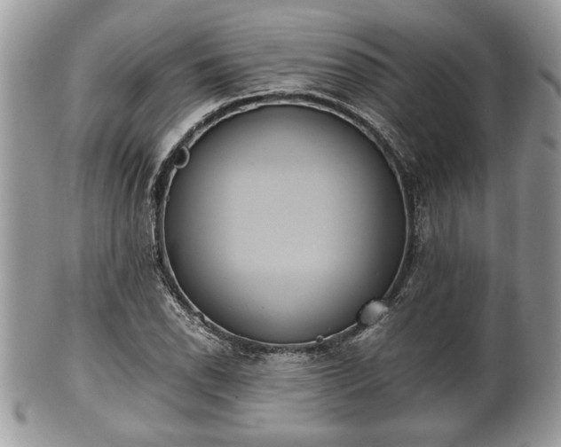 X0000102031118200807251345