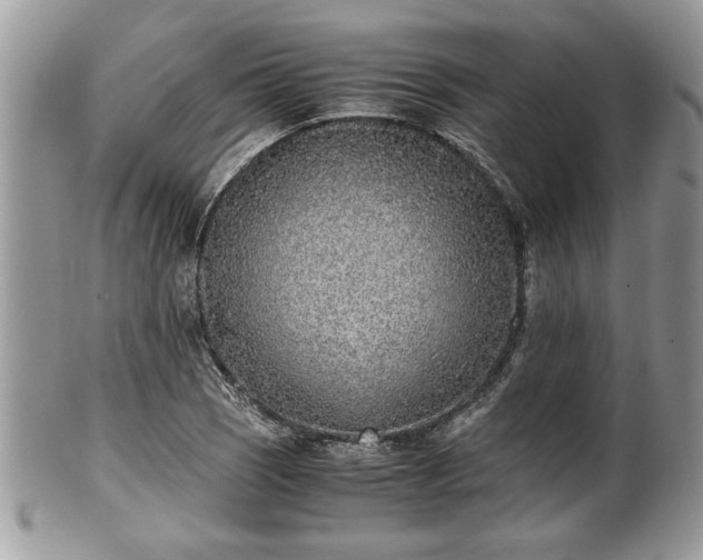 X0000102031121200807251345