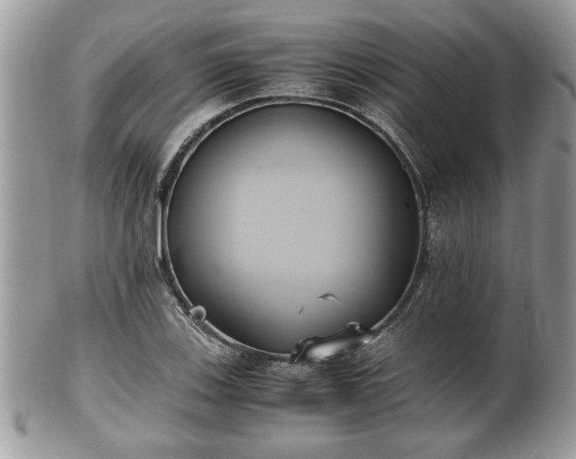 X0000102031123200807251345