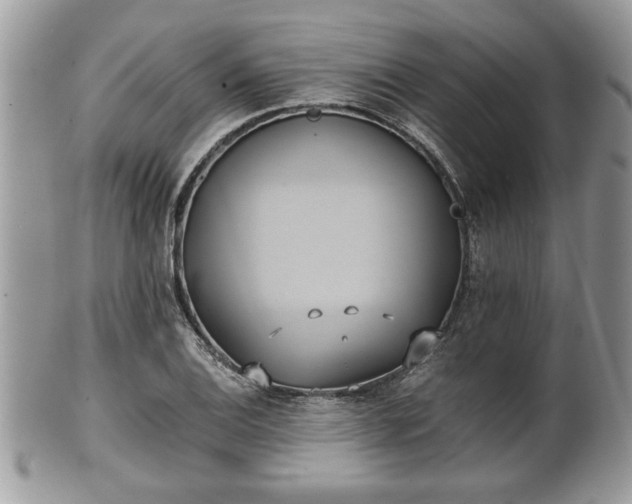 X0000102031124200807251345