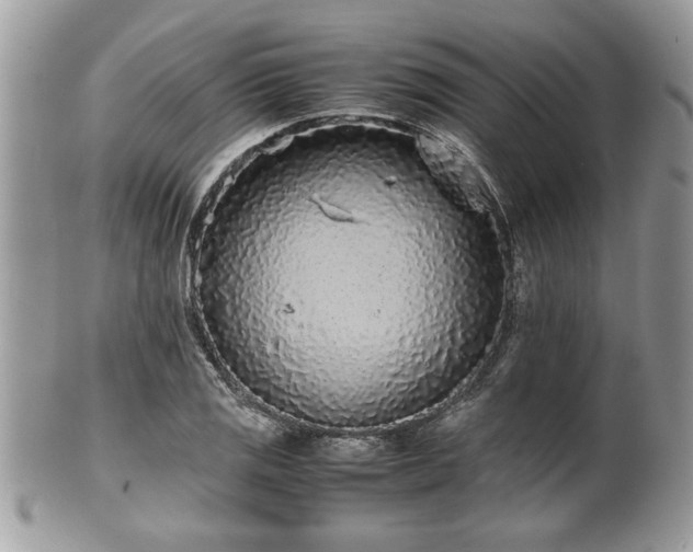 X0000102031125200807251345