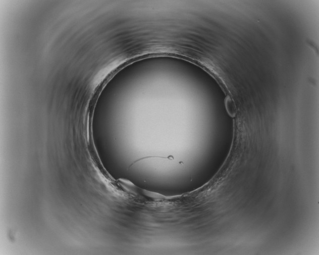 X0000102031127200807251345