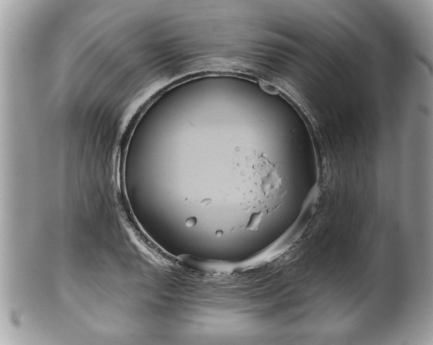 X0000102031128200807251345