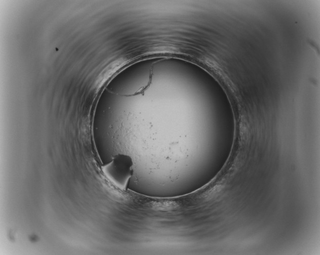 X0000102031129200807251345