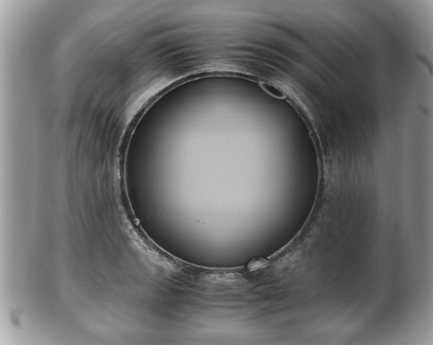 X0000102031133200807251345