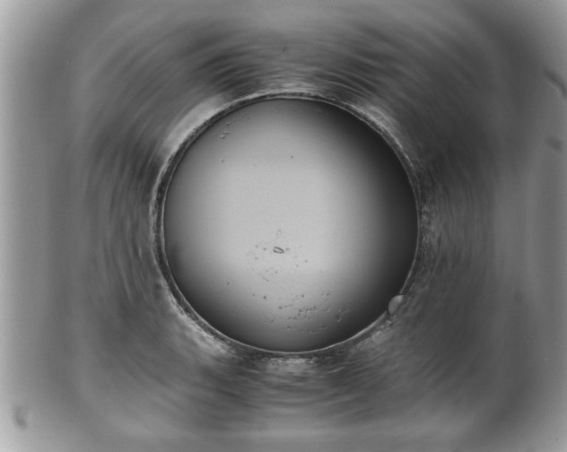 X0000102031135200807251345