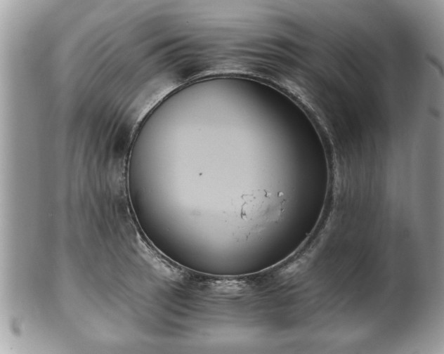 X0000102031137200807251345