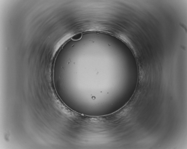 X0000102031138200807251345