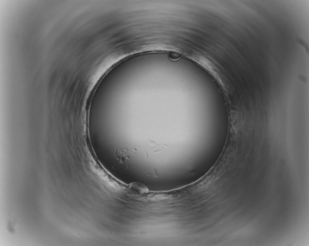 X0000102031140200807251345