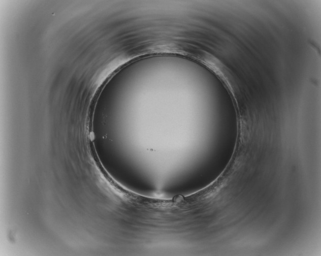 X0000102031141200807251345