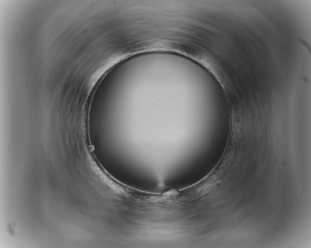 X0000102031142200807251345