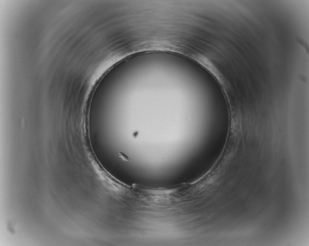 X0000102031144200807251345