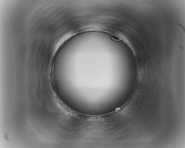 X0000102031146200807251346