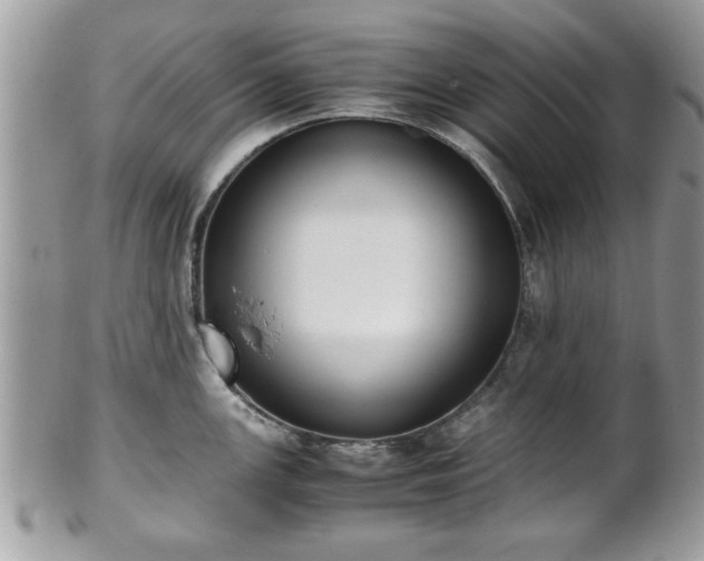 X0000102031147200807251346