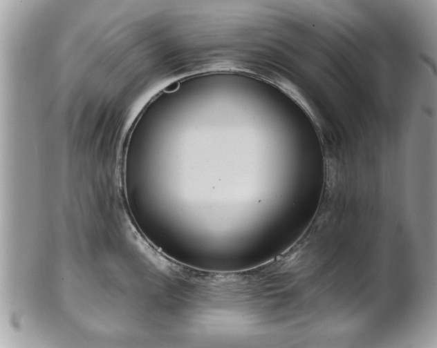 X0000102031148200807251346