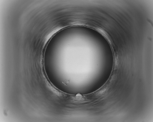 X0000102031149200807251346