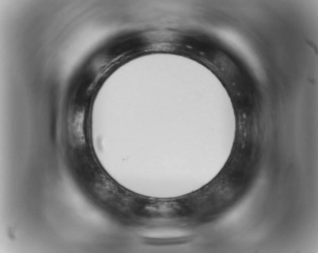 X0000102031150200807251346