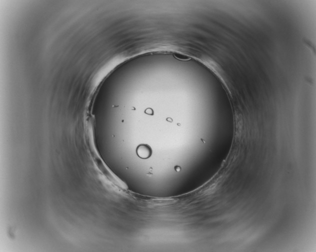 X0000102031151200807251346