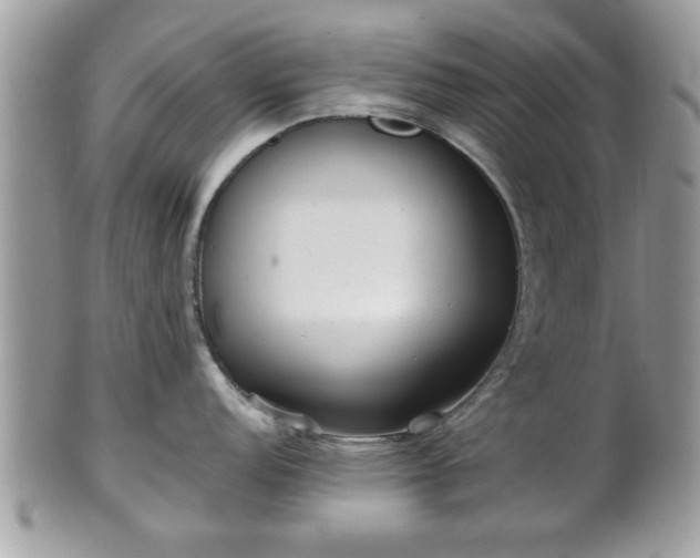 X0000102031152200807251346