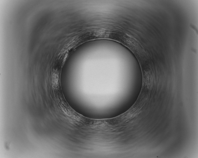 X0000102031154200807251345