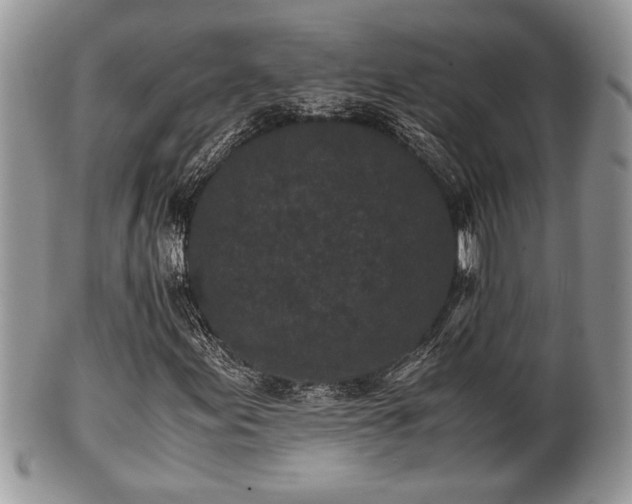 X0000102031155200807251345