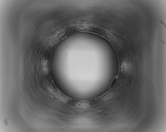 X0000102031156200807251345