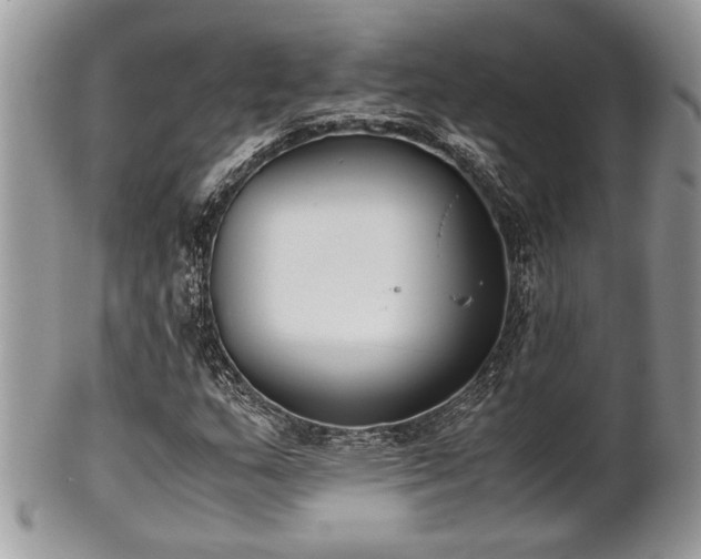 X0000102031159200807251345