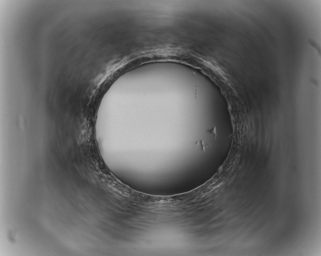 X0000102031160200807251345