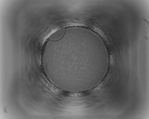 X0000102031165200807251345