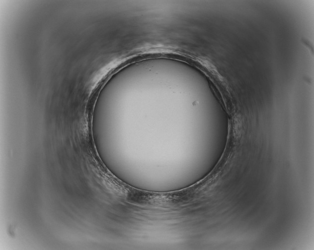 X0000102031167200807251345