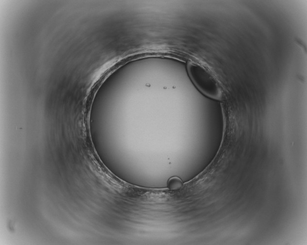 X0000102031168200807251345